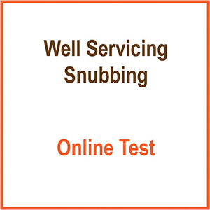 Well Servicing Snubbing Exam